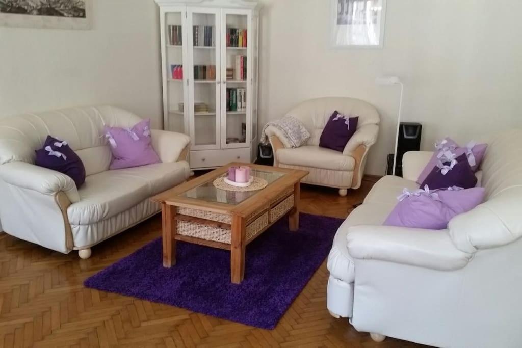 Panorama Daire Budapeşte Dış mekan fotoğraf
